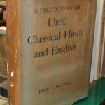 Using an Urdu Dictionary